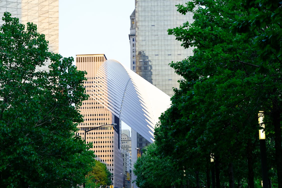 View of the Oculus World Trade Center Station in New York City, New York, United States