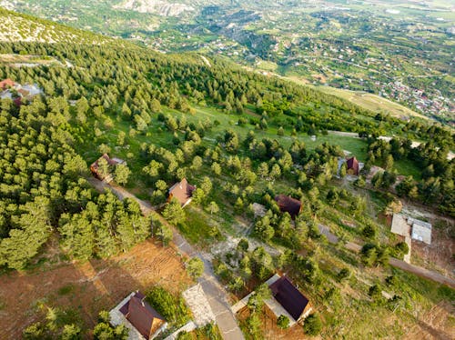 ağaçlar, arazi, dikey atış içeren Ücretsiz stok fotoğraf