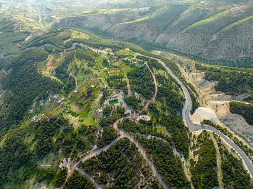 Aerial View of Mountains with Winding Roads and Trees