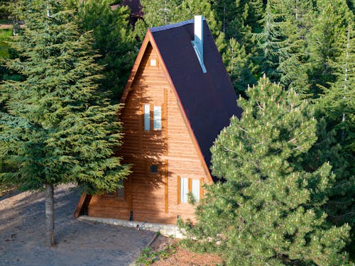 View of a Triangle Wooden House in a Forest