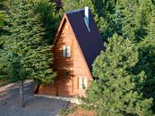 Charming wooden A-frame cabin nestled among sunlit evergreens in summer forest.