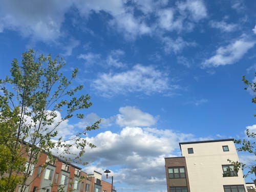 Kostnadsfri bild av himmel, klöver, natur