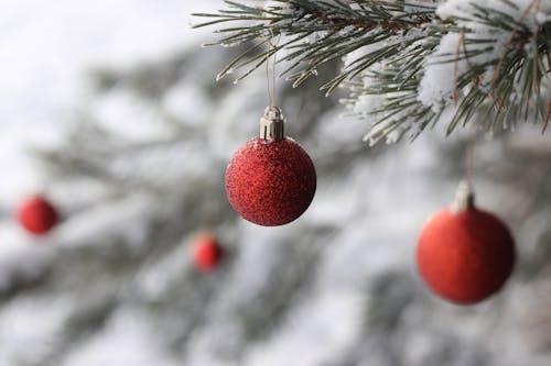 Free Selective Focus Red Baubles Stock Photo