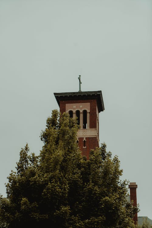 Church Tower behind the Tree 