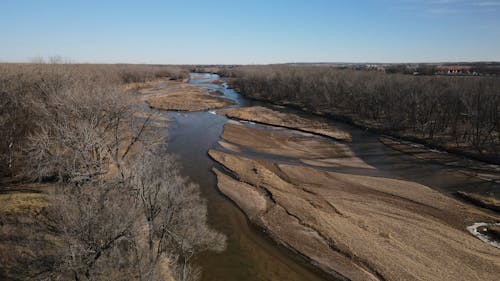 Sunlit Sandbanks on River in Forest