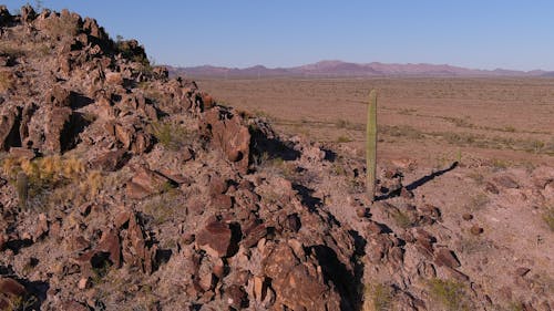 Základová fotografie zdarma na téma kaktusy, kopce, krajina