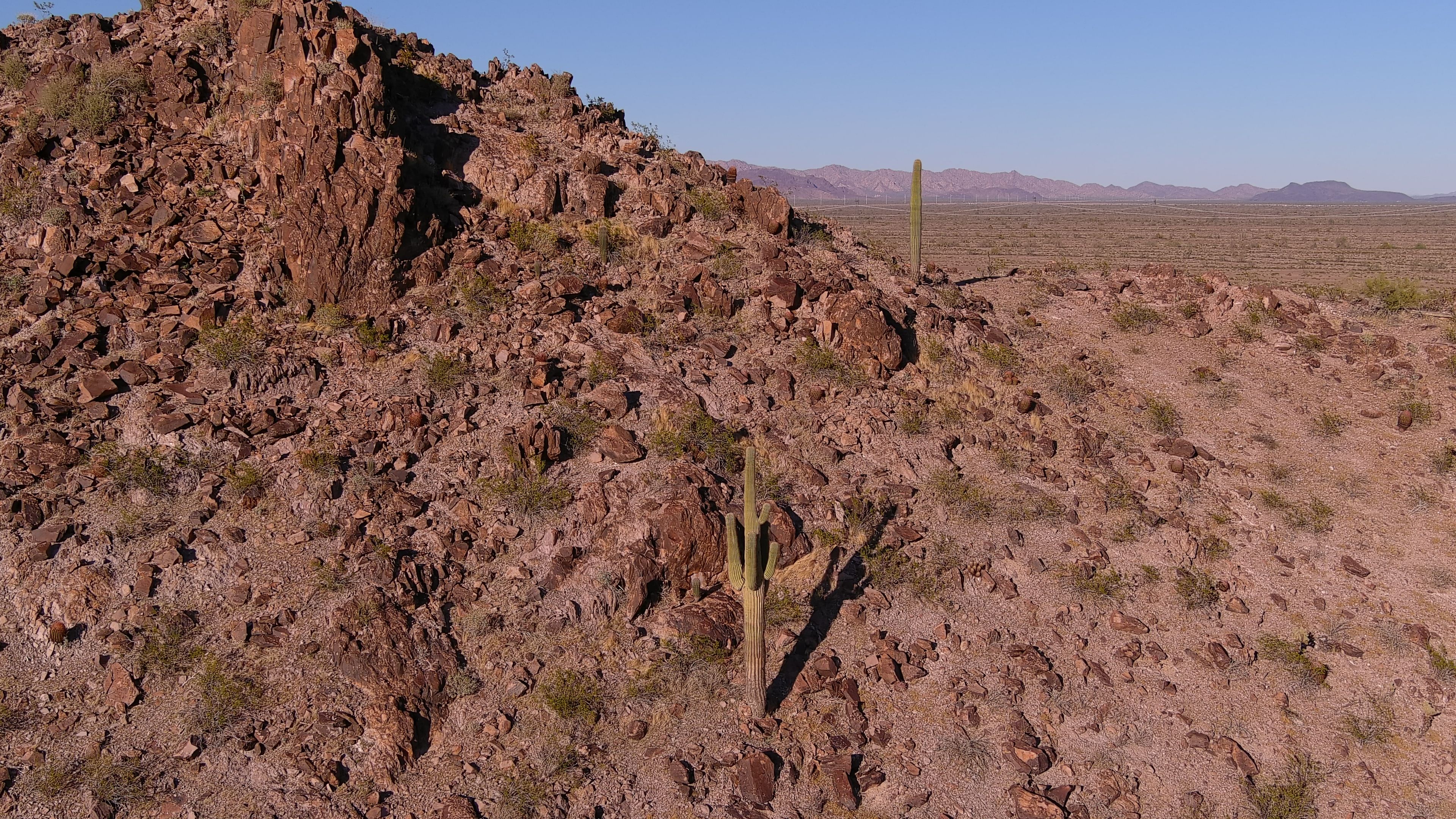 Arizona Smart Zones: ProHunt Walkthrough — photo by EJ Merl (pexels)