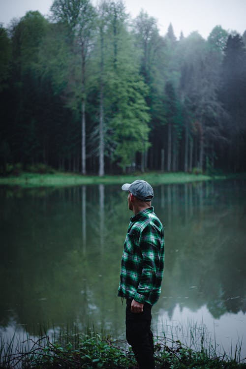 Foto profissional grátis de árvores, beira do lago, camisa quadriculada