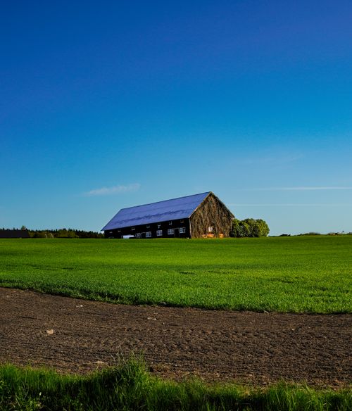 Free Charming barn amidst lush green fields under a clear blue sky. Ideal rural scenery. Stock Photo