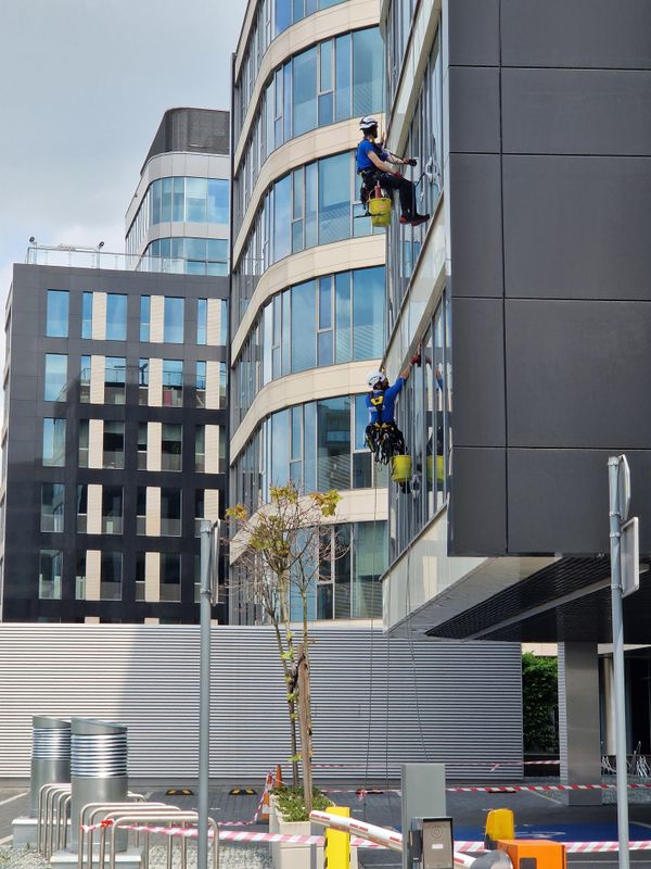 Window cleaning service