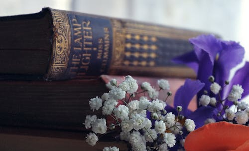 Free White Chrysanthemum Flowers Near Books Stock Photo