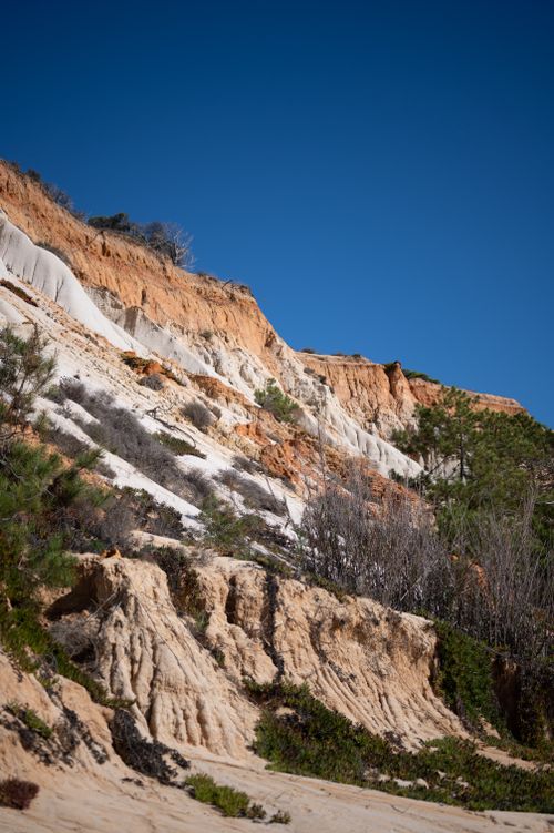 Free Discover the striking geological formations of Albufeira's cliffs, captured in bright daylight under a clear blue sky. Stock Photo