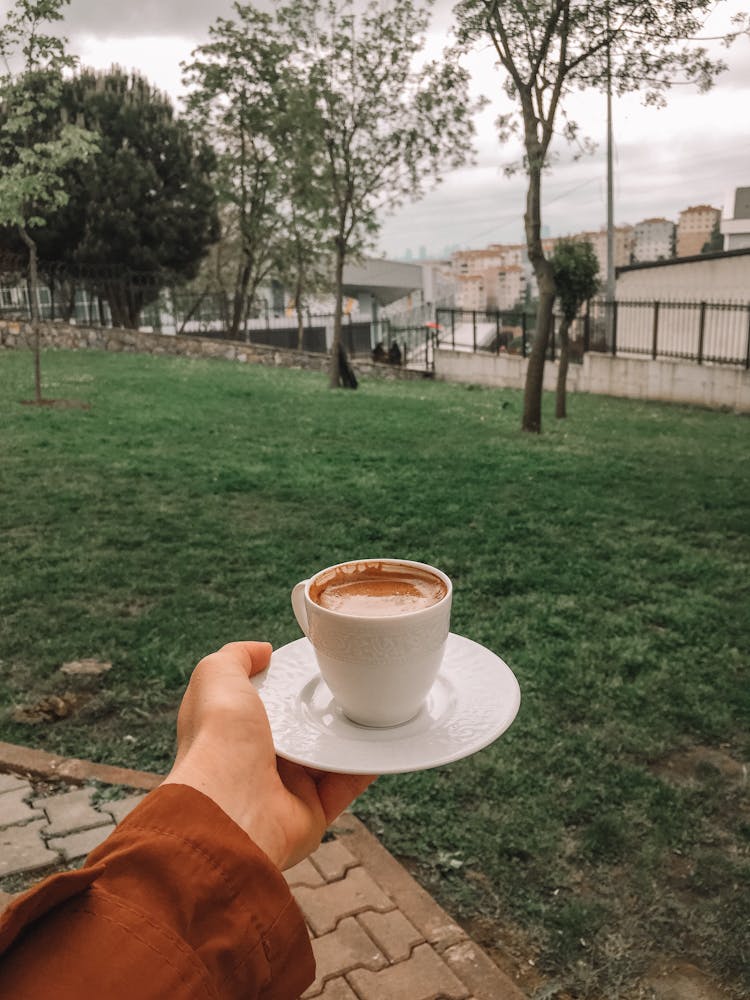 Person Holding Cup Of Coffee Sitting In Green Park