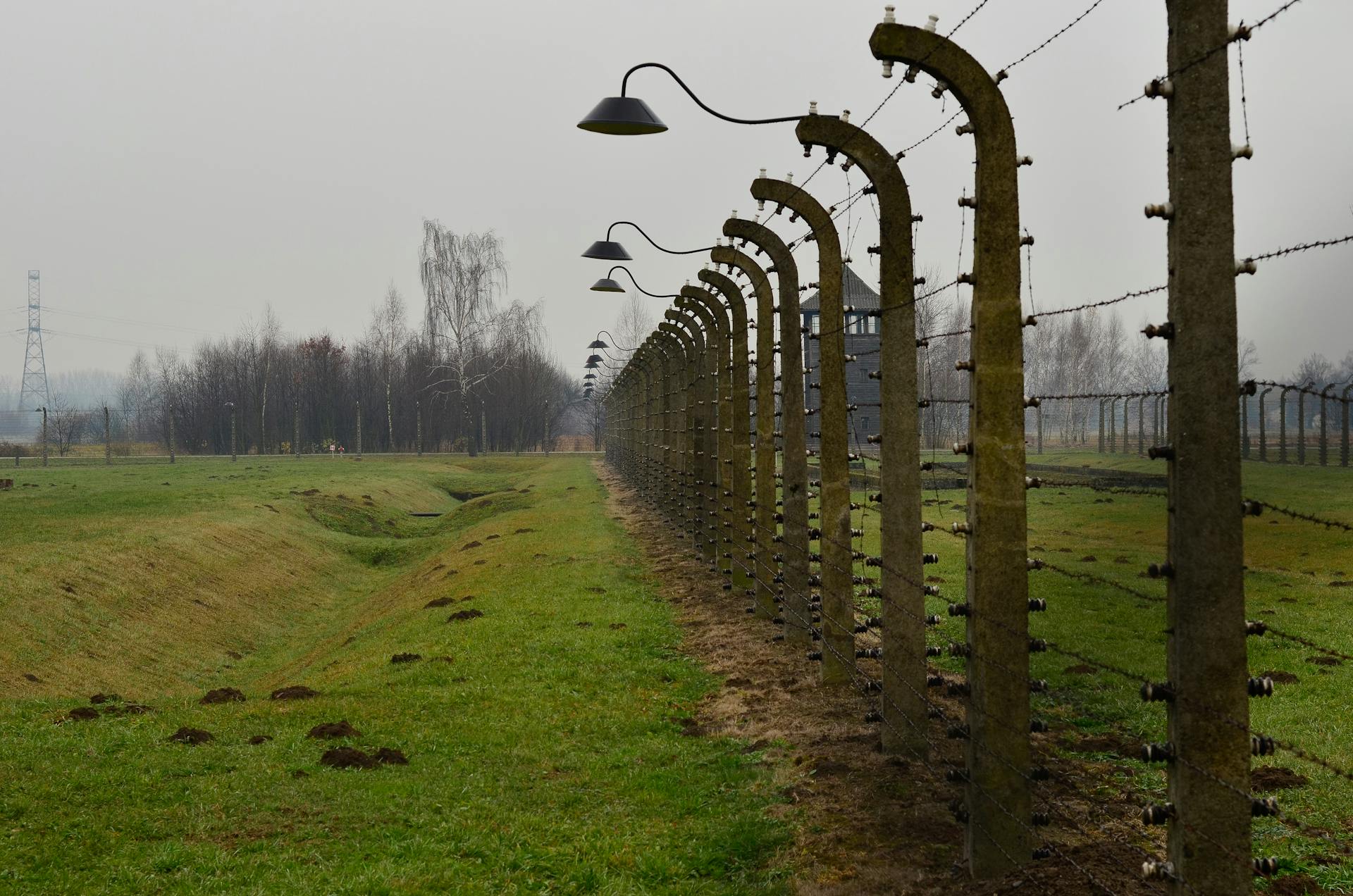 Electric Fence on the Grass Field