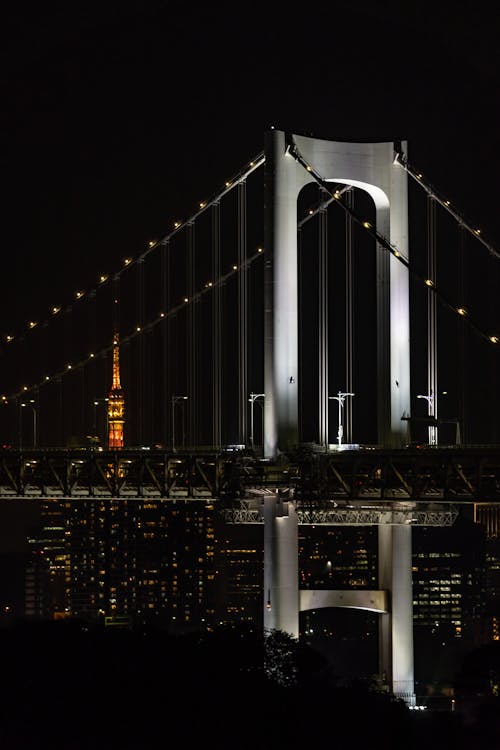 吊橋, 垂直拍摄, 城市 的 免费素材图片
