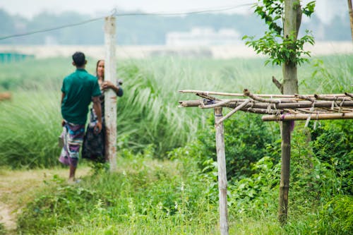 Ilmainen kuvapankkikuva tunnisteilla äiti ja poika, bangladesh, kylä