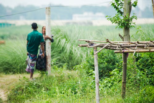 Kostnadsfri bild av bangladesh, by, familj