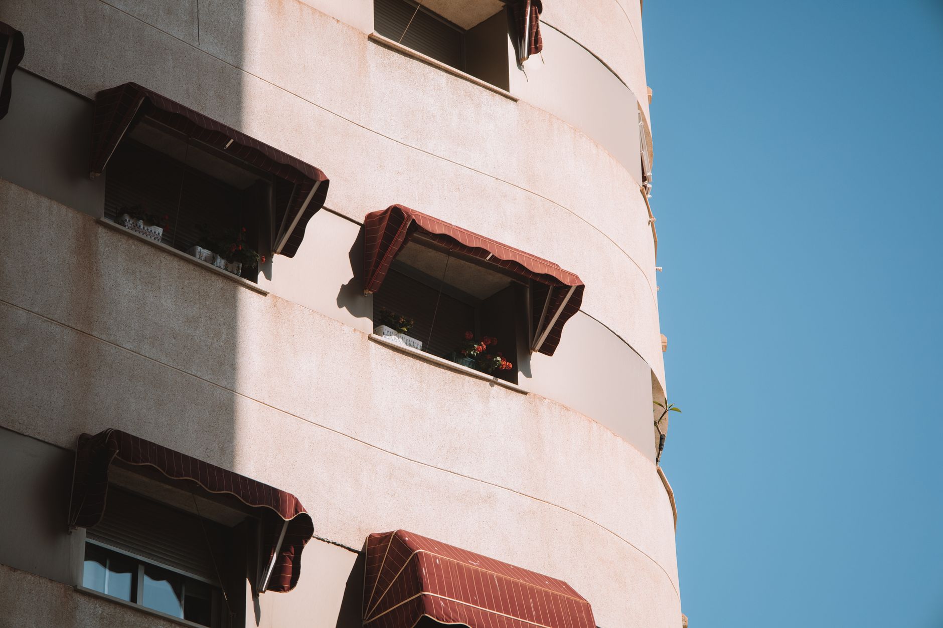 Vivir con Roommates en España: Guia Completa