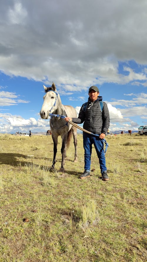 Fotos de stock gratuitas de animal, caballo, campo