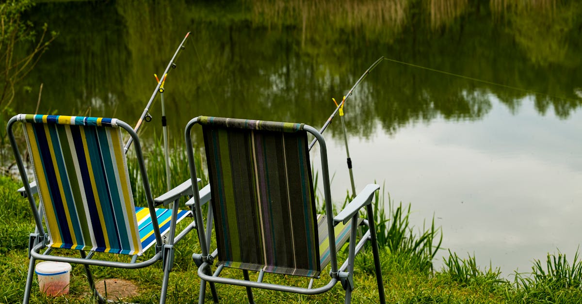 Lake Fishing: Navigating Change in a Competitive Environment