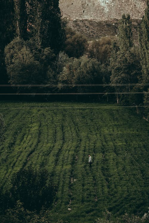 Aerial View of a Person Standing on a Cropland 