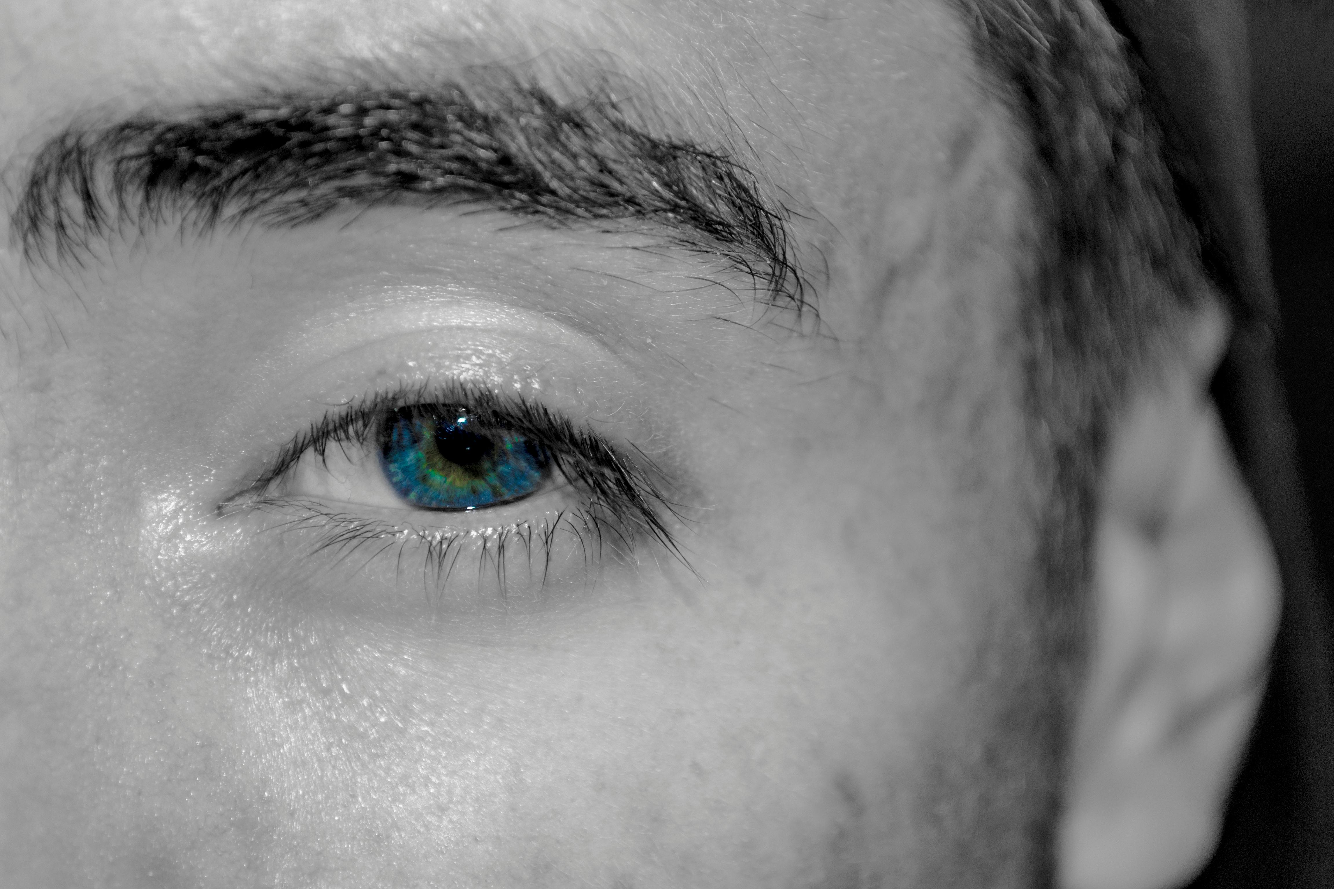 Free stock photo of beautiful eyes, blue eyes, eye
