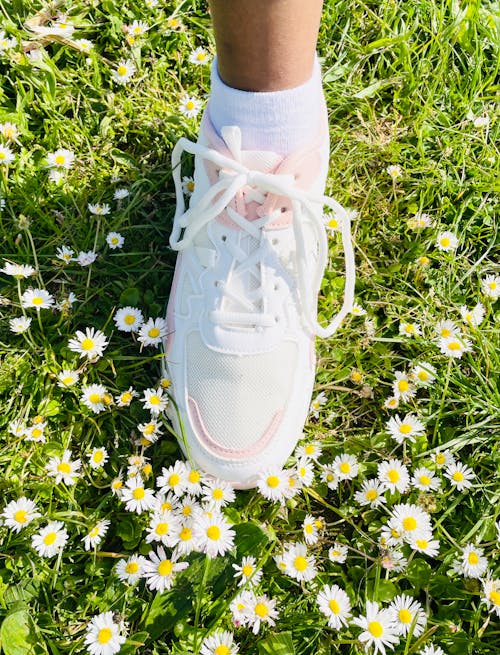 Woman Wearing a White Sneaker on a Meadow 