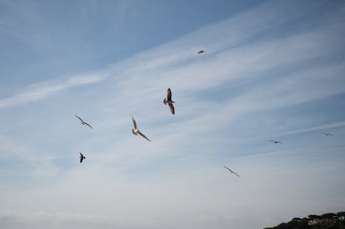 Ingyenes stockfotó barna homok, esztétika, esztétikai háttér témában