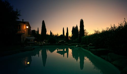 Alberi Vicino Al Corpo D'acqua Sotto Il Cielo Grigio