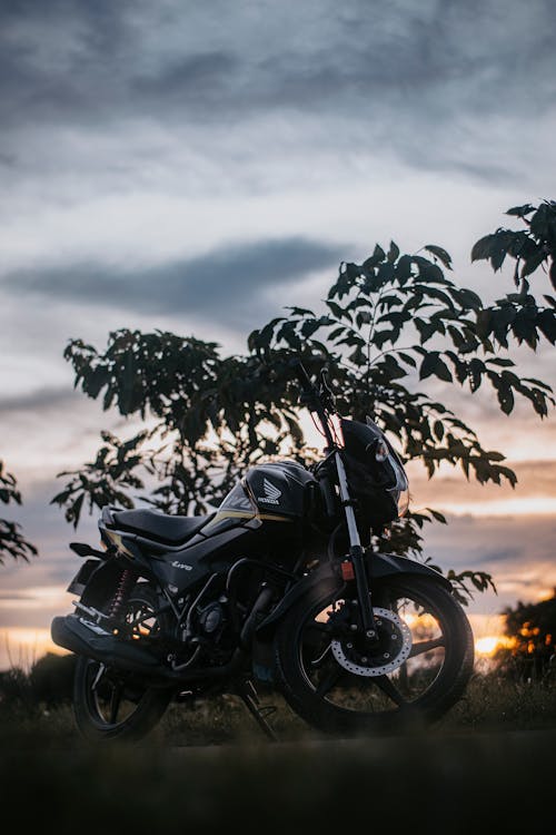 Black Motorcycle by Tree at Dusk