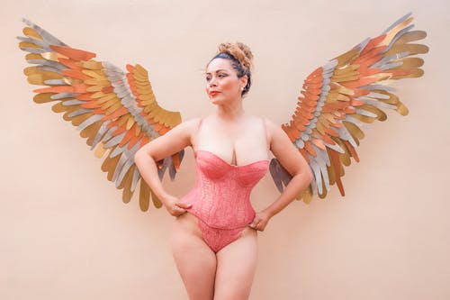 날개, 란제리, 모델의 무료 스톡 사진
