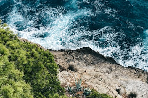 Green Plants on High-ground With Body of Water Below