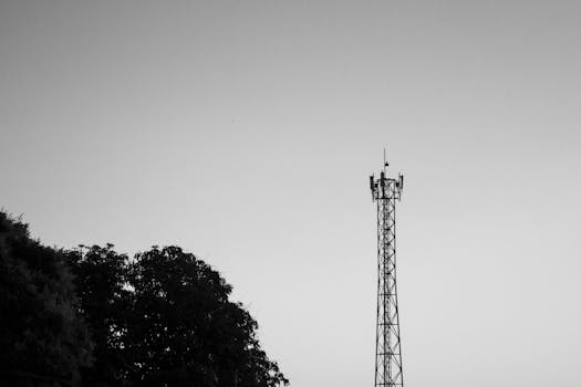 A stark black and white image featuring a satellite tower against a clear sky with trees.