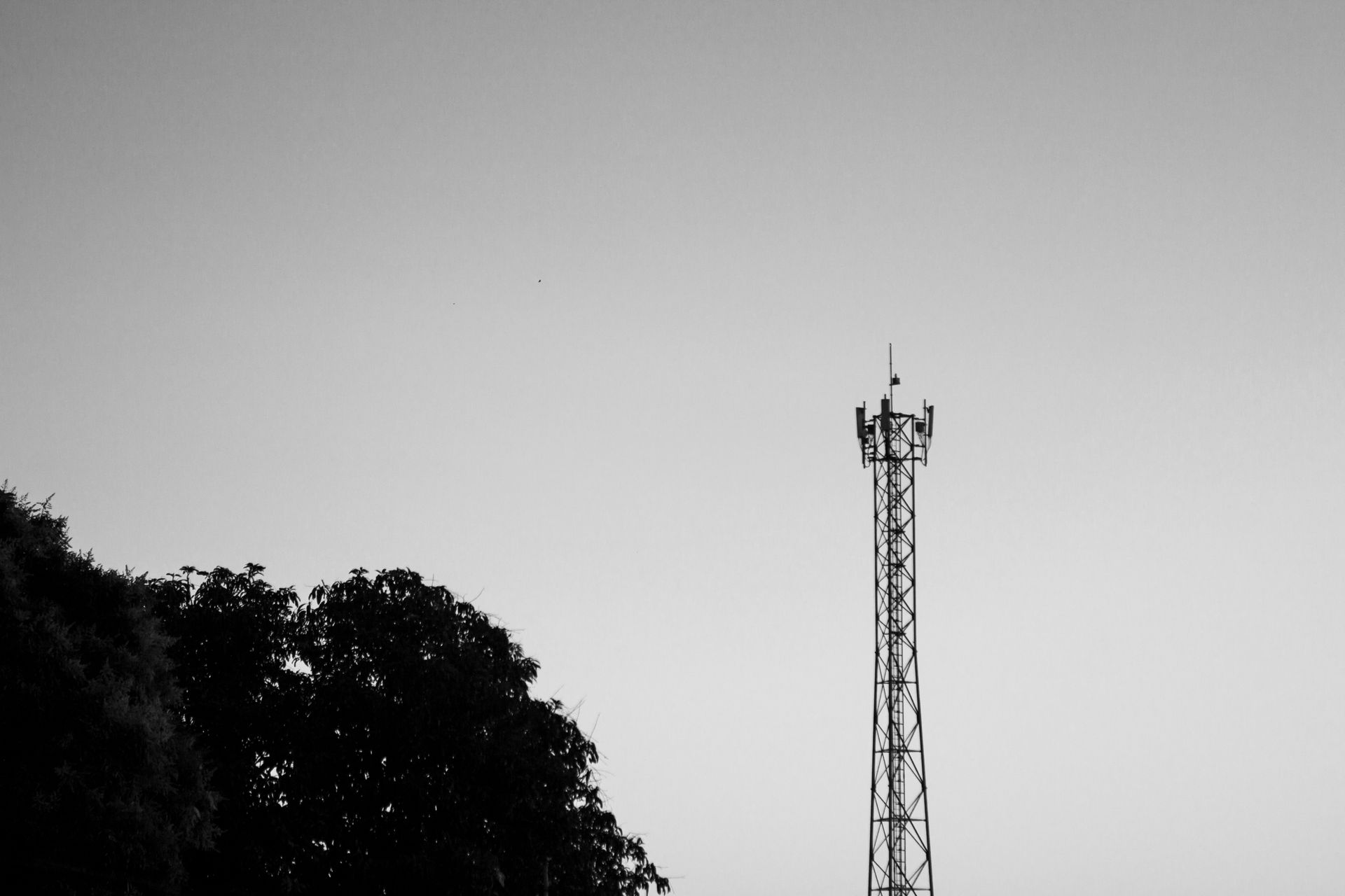 A stark black and white image featuring a satellite tower against a clear sky with trees.