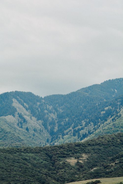 Free Breathtaking view of the lush mountains in Talgar, Almaty Province, Kazakhstan. Stock Photo