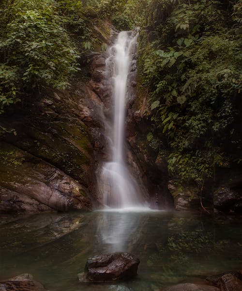 Fotos de stock gratuitas de agua que fluye, arboles, cascada