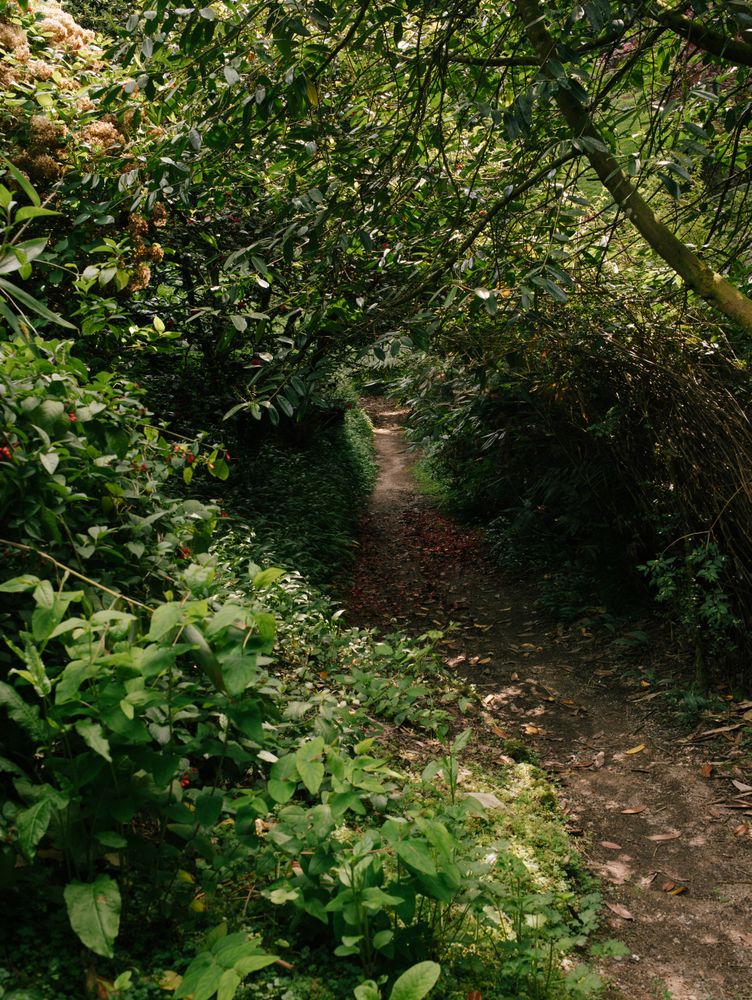 Hidden Paths Photos, Download The BEST Free Hidden Paths Stock Photos ...