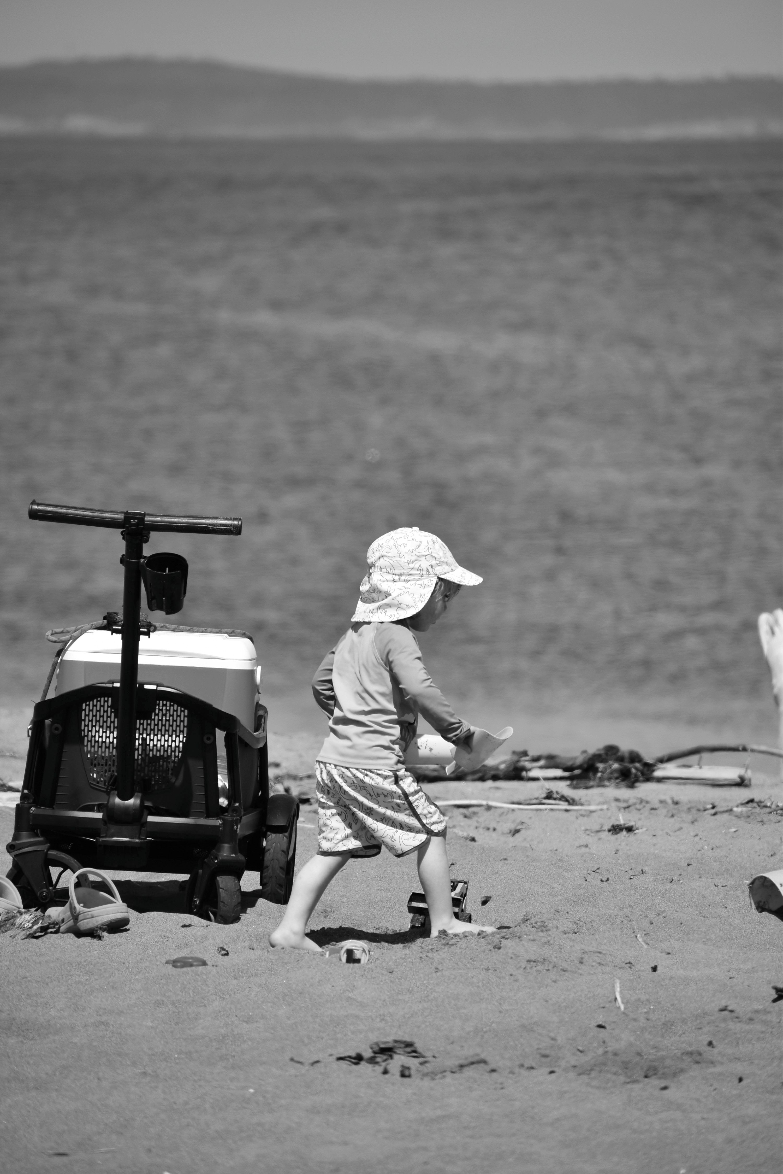 best beach wagon for soft sand Vergleich