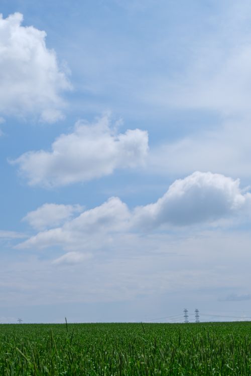 Free Lush green field under a vibrant blue sky with fluffy clouds, epitomizing rural summer beauty. Stock Photo