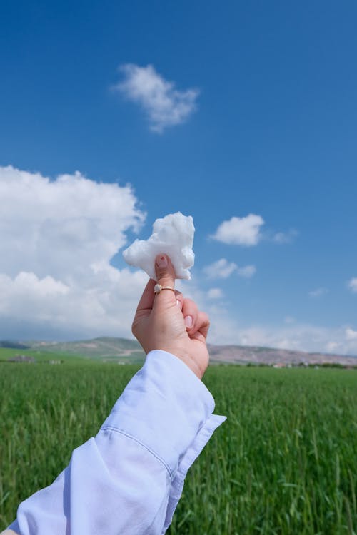 Gratis stockfoto met arm, blauwe lucht, buiten