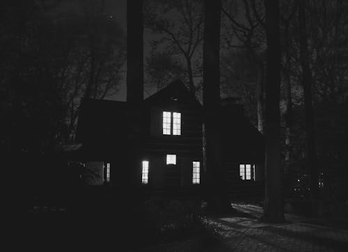 Haus Mit Lichtern Auf Nahen Bäumen Während Der Nacht