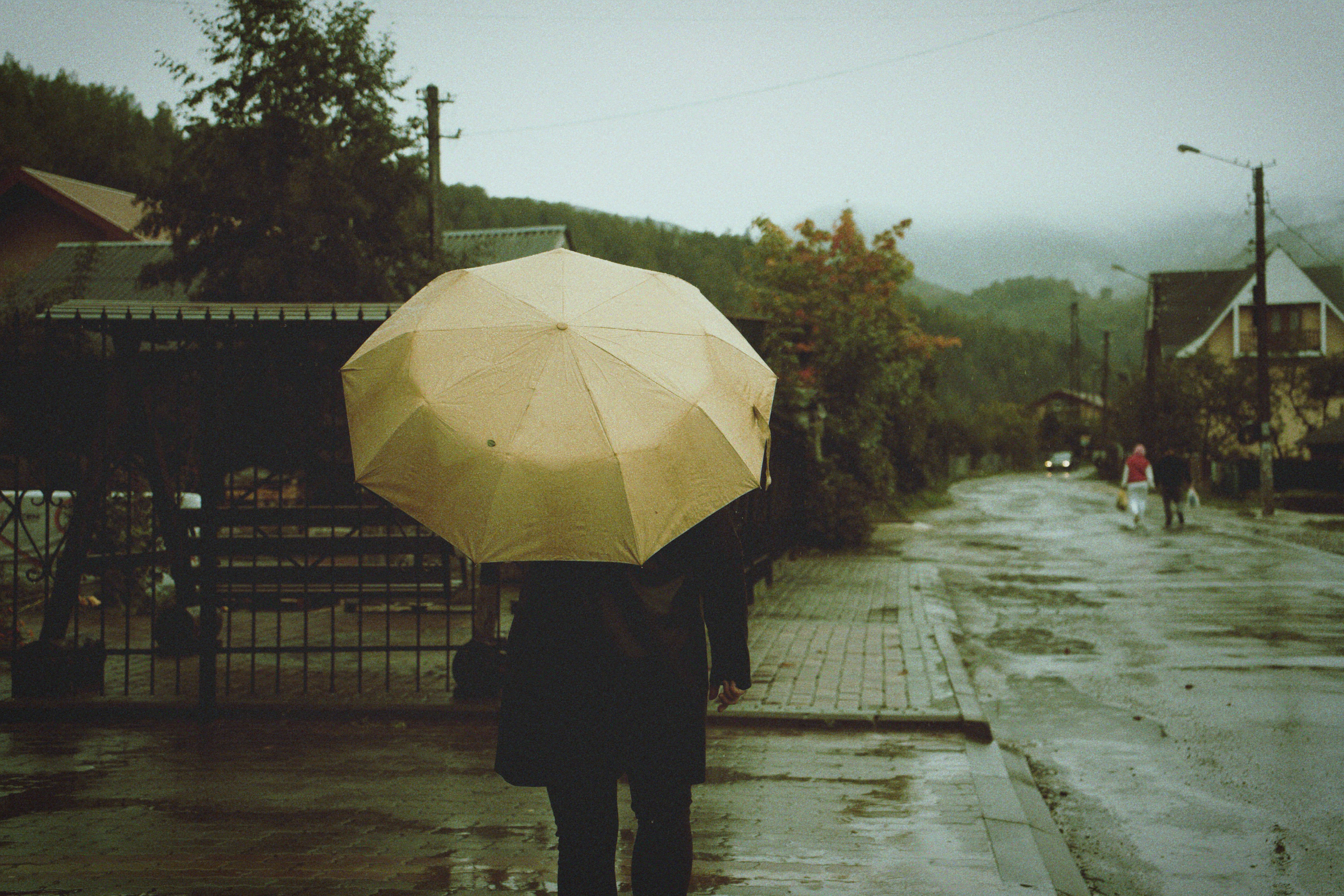 Back View of a Person with Umbrella Walking in the City · Free Stock Photo