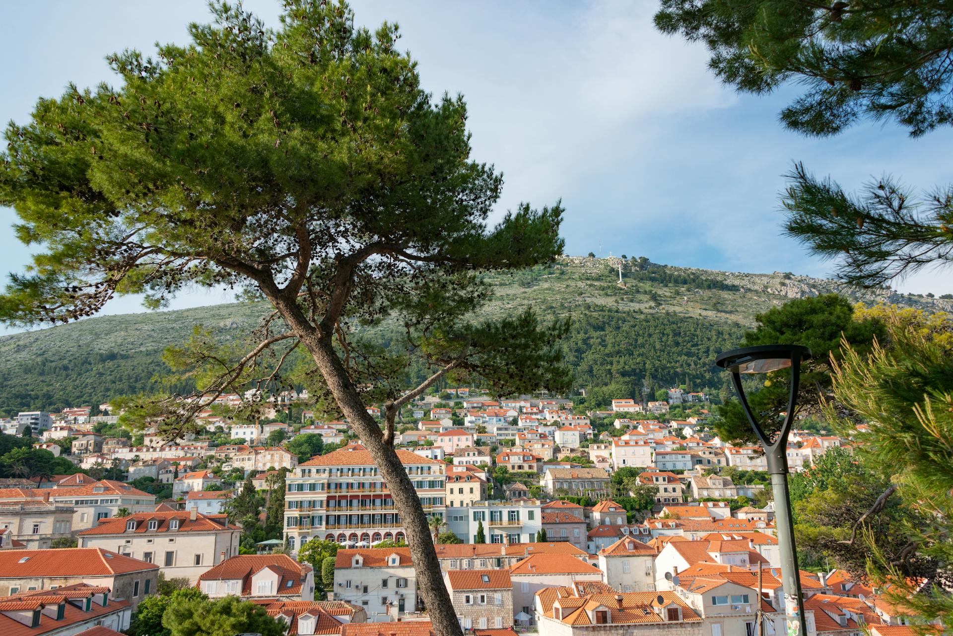 A picturesque landscape showcasing Dubrovnik rooftops set against lush green hills.