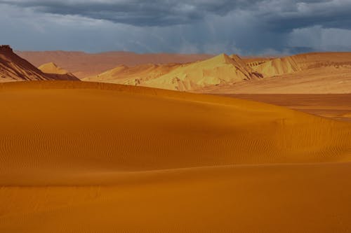 Desert under Overcast Sky 