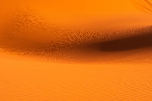 Pattern on the Desert Sand