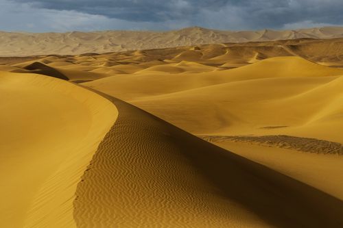 Free A breathtaking landscape of golden sand dunes stretching under a moody sky, capturing desert beauty. Stock Photo