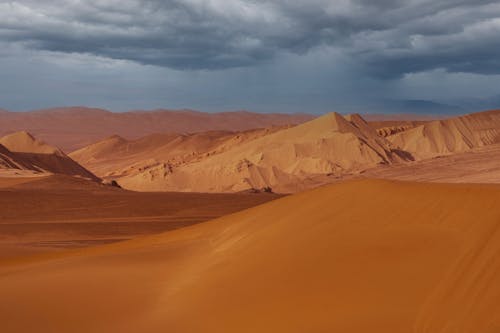Desert Landscape under a Storm Cloud