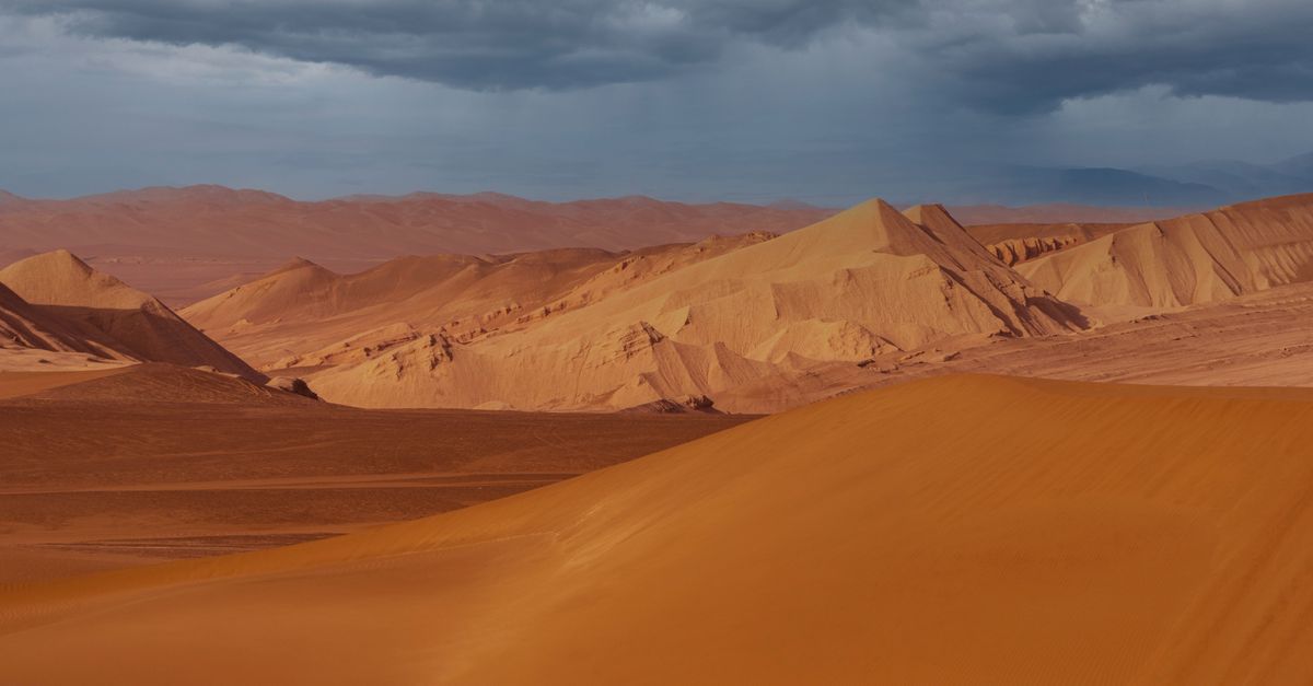 Los 8 desiertos más extremos con presencia de organismos resistentes Los 8 desiertos más extremos con presencia de organismos resistentes