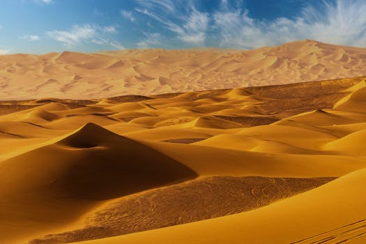 Stunning view of endless golden sand dunes under a bright blue sky, capturing the beauty of nature's vastness.