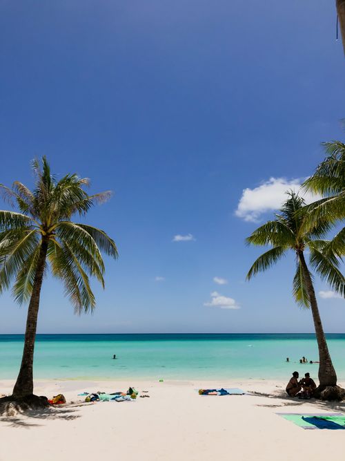 Free Serene tropical beach with palm trees and turquoise waters, offering a perfect vacation setting. Stock Photo